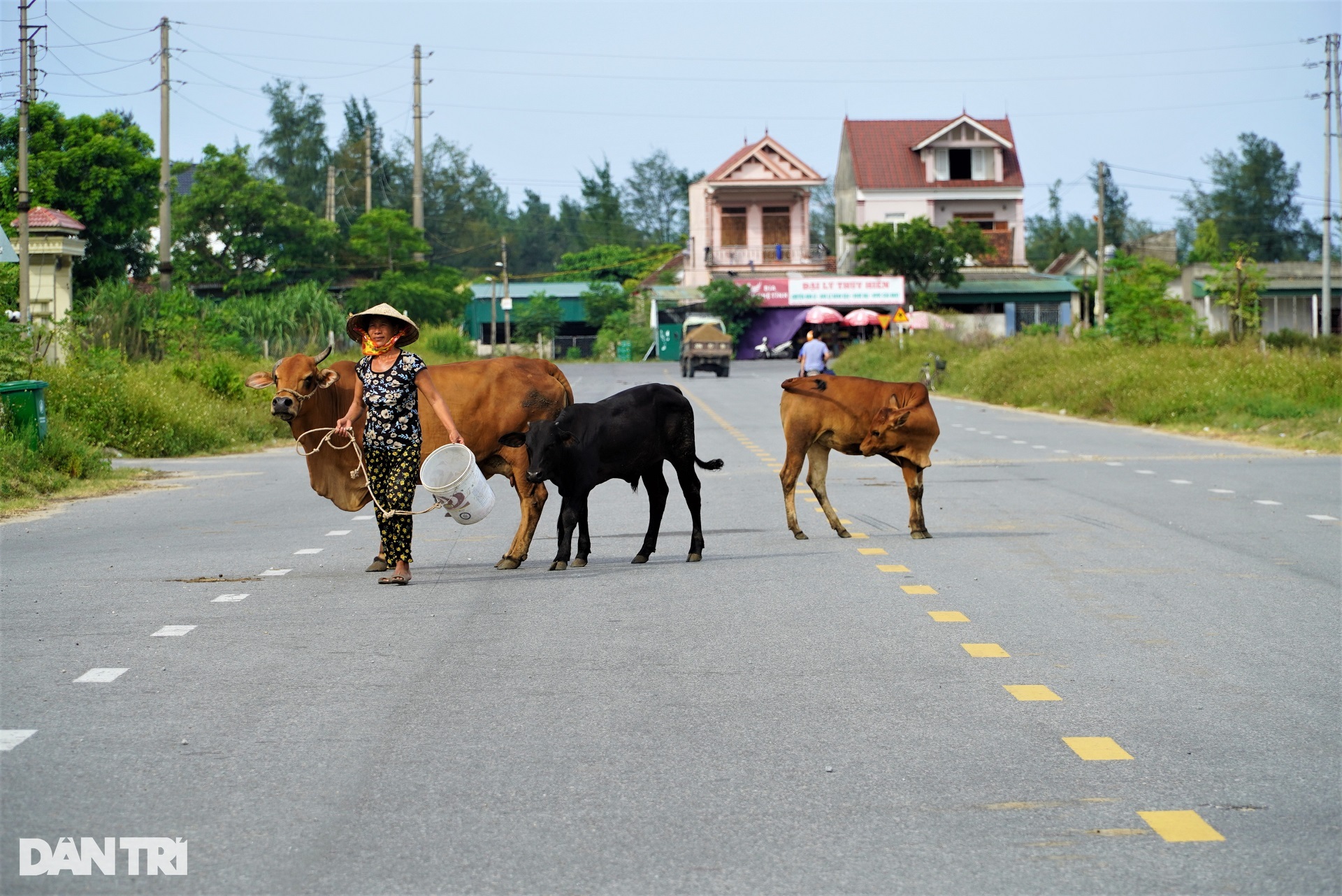 Đường trăm tỷ đứt đoạn do vướng 145 ngôi mộ, tai nạn liên tiếp xảy ra - 11 Đường trăm tỷ đứt đoạn do vướng 145 ngôi mộ, tai nạn liên tiếp xảy ra - 11