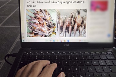 Hưng Yên cảnh báo tình trạng bán chim hoang dã tràn lan trên mạng