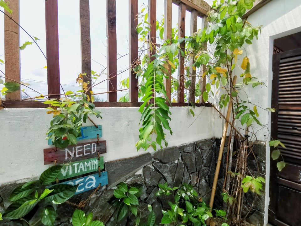 Chủ nhà ở Quảng Nam chi gần 2 tỷ lột xác nhà cấp 4 thành resort đẹp khó tin - 3 Chủ nhà ở Quảng Nam chi gần 2 tỷ lột xác nhà cấp 4 thành resort đẹp khó tin - 3