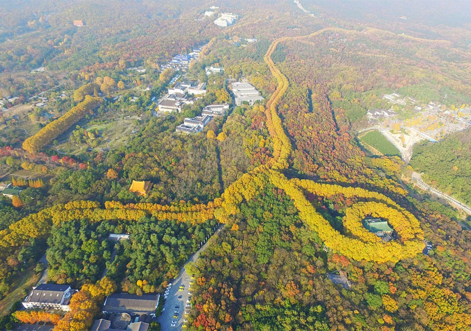 Cung điện hình viên ngọc khổng lồ biểu tượng tình yêu ở Trung Quốc - 1 Cung điện hình viên ngọc khổng lồ biểu tượng tình yêu ở Trung Quốc - 1