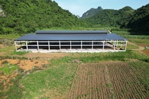 Khu nhà kiên cố rộng cả nghìn m2 bị bỏ hoang giữa núi rừng