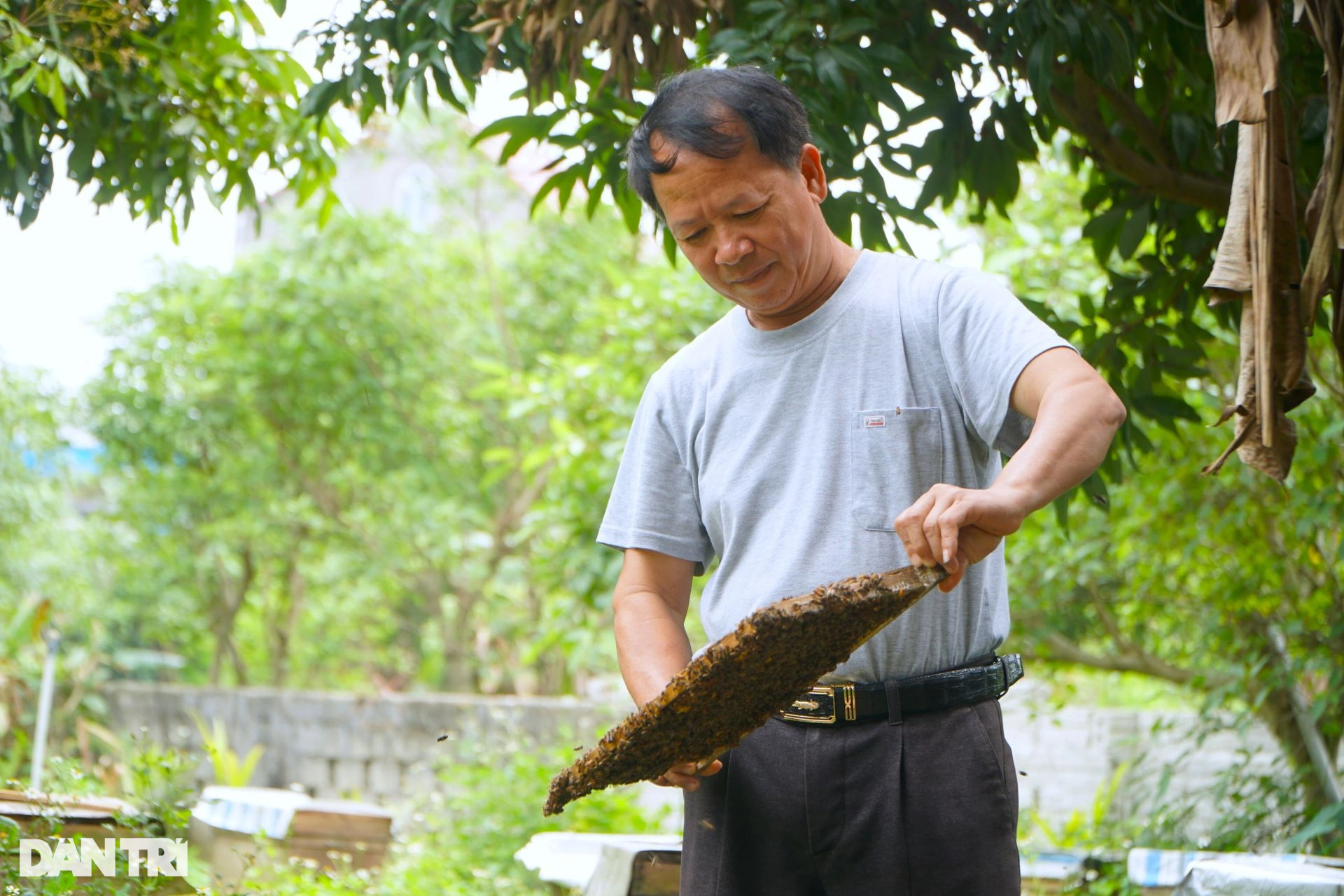 Cậu bé chăn vịt thành ông chủ trang trại thu hàng tỷ đồng mỗi năm - 2 Cậu bé chăn vịt thành ông chủ trang trại thu hàng tỷ đồng mỗi năm - 2