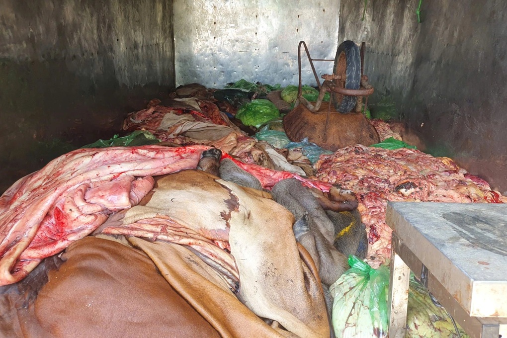 Chở hơn 1 tấn lòng không rõ nguồn gốc đi bán cho tiểu thương - 1 Chở hơn 1 tấn lòng không rõ nguồn gốc đi bán cho tiểu thương - 1