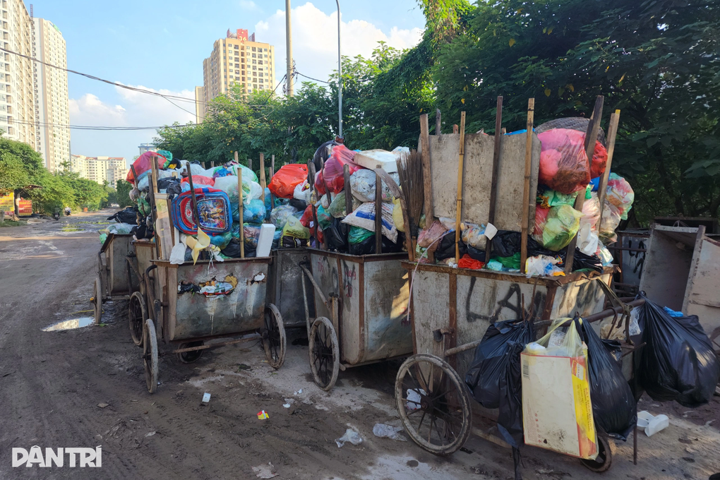 Rác thải nhựa, xác động vật không phân loại ngập ngụa các bãi tập trung - 12 Rác thải nhựa, xác động vật không phân loại ngập ngụa các bãi tập trung - 12