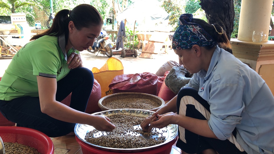 Vợ chồng nông dân mày mò làm cà phê sạch, kiếm hơn 1 tỷ đồng/năm - 2 Vợ chồng nông dân mày mò làm cà phê sạch, kiếm hơn 1 tỷ đồng/năm - 2