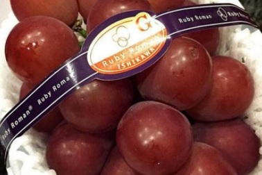 Giống nho đắt nhất thế giới, ăn một chùm hết gần 250 triệu đồng