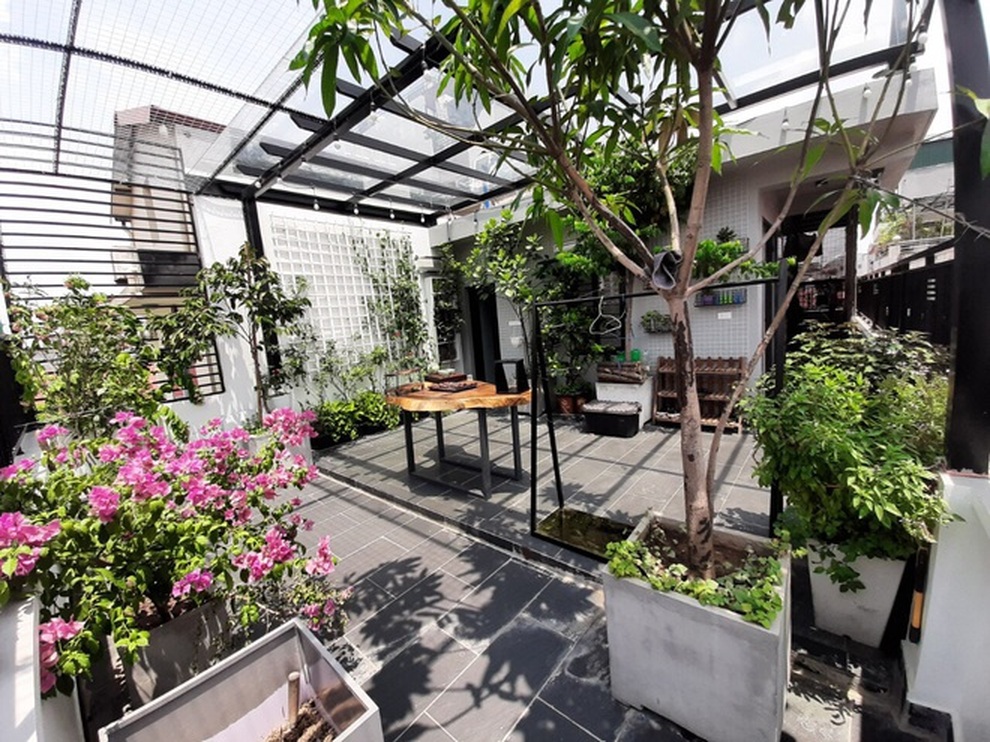 Mê mẩn góc trốn dịch xanh mát trên sân thượng của nhiều gia đình Việt - 12 Mê mẩn góc trốn dịch xanh mát trên sân thượng của nhiều gia đình Việt - 12