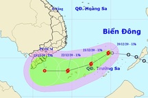 Áp thấp nhiệt đới đã mạnh lên thành bão số 14