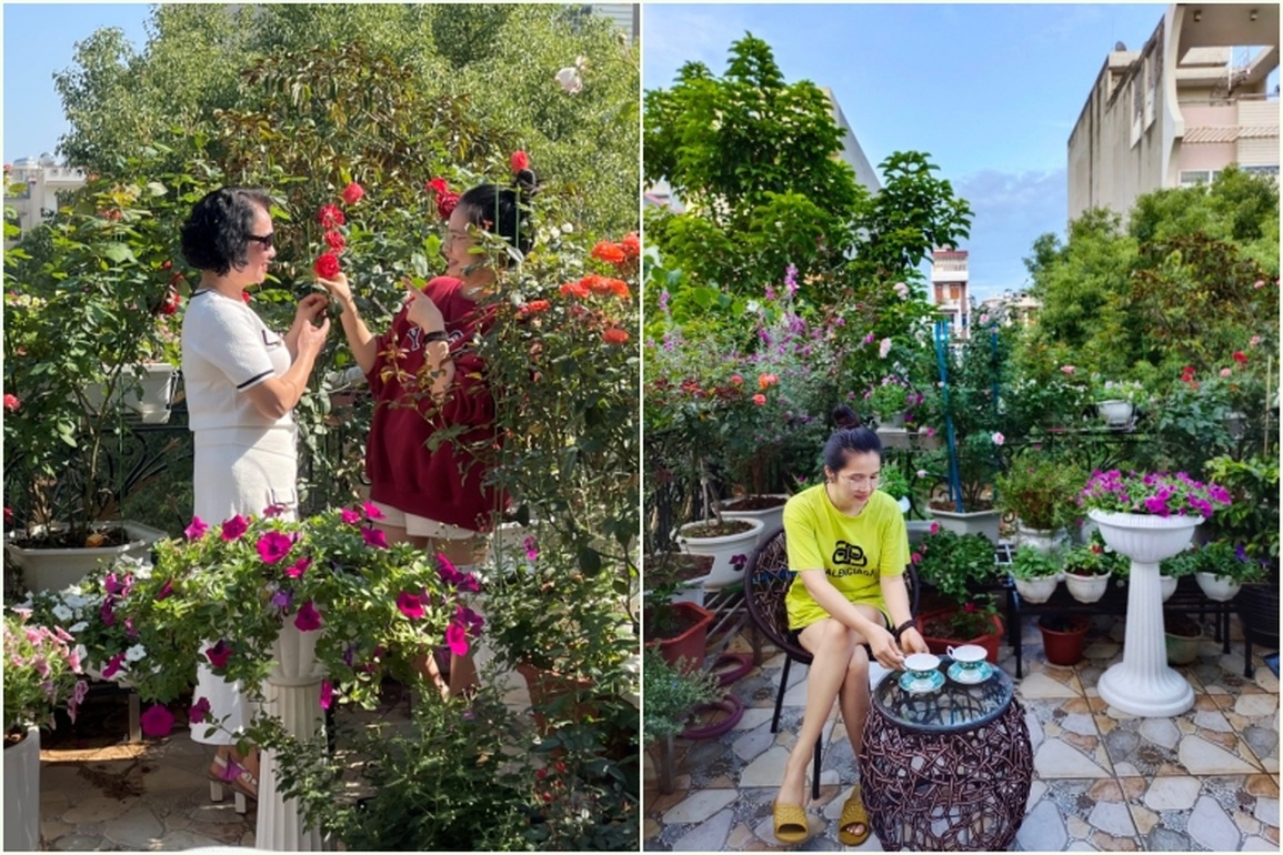 Vườn hoa vỏn vẹn 20 mét vuông ngập tràn sắc màu của nữ kế toán Bắc Giang - 5 Vườn hoa vỏn vẹn 20 mét vuông ngập tràn sắc màu của nữ kế toán Bắc Giang - 5