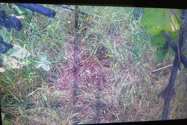 Cuộc tình vụng trộm tuổi xế chiều và nghịch cảnh đau lòng