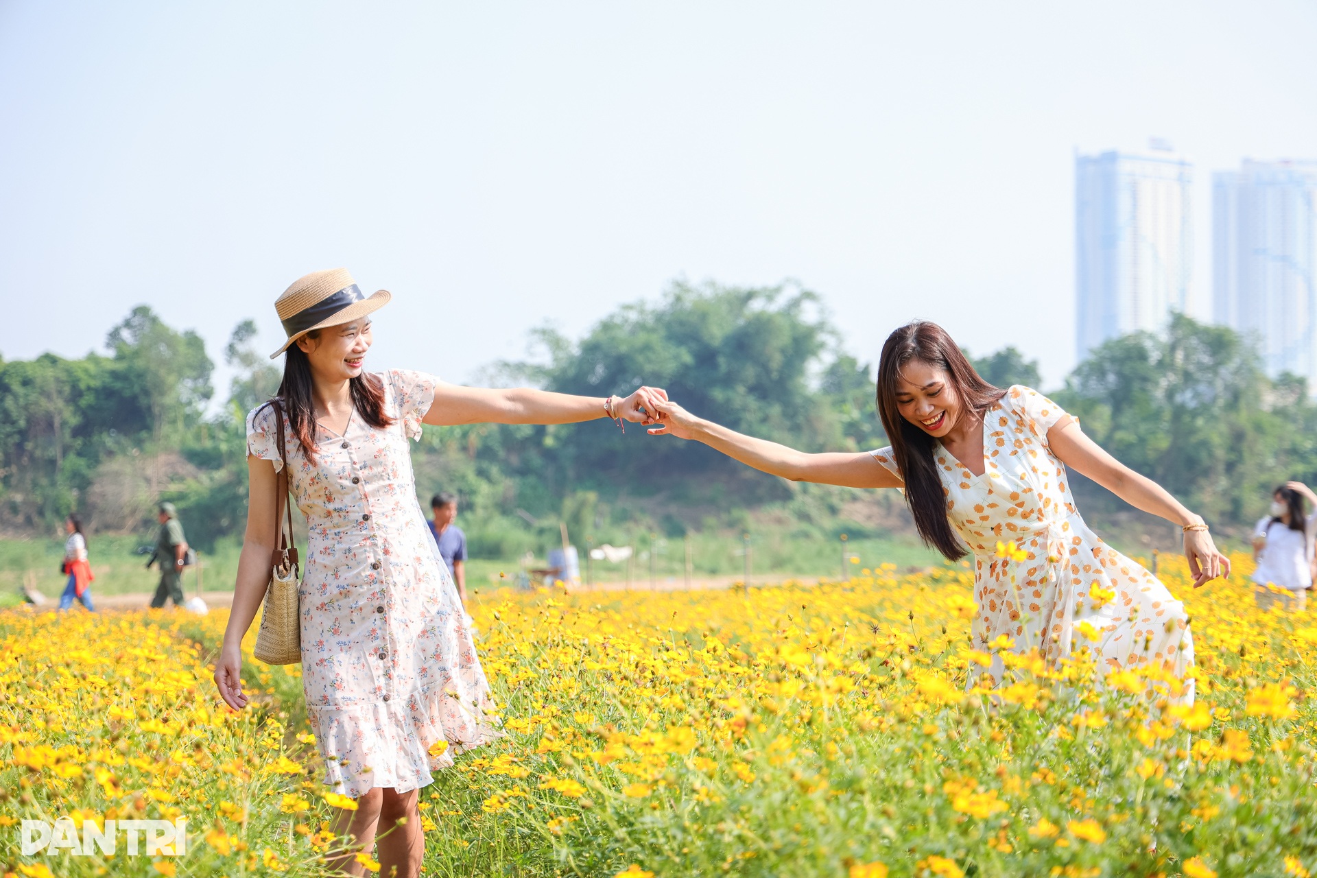 Dậy từ 3h, vượt 30km chụp ảnh sống ảo ở vườn hoa cúc chân cầu Long Biên - 7 Dậy từ 3h, vượt 30km chụp ảnh sống ảo ở vườn hoa cúc chân cầu Long Biên - 7