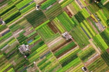 Làng rau hơn 400 năm tuổi được vinh danh "Làng du lịch tốt nhất" năm 2024