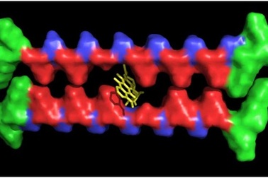 Vật liệu hydrogel có thể xử lý các phân tử thuốc khó tan trong cơ thể