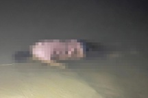 Tìm nhân thân thi thể trôi trên sông Giăng