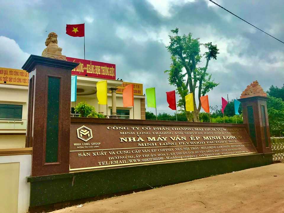 Công ty Minh Long đưa vào vận hành nhà máy sản xuất ván ép hiện đại - 2 Công ty Minh Long đưa vào vận hành nhà máy sản xuất ván ép hiện đại - 2