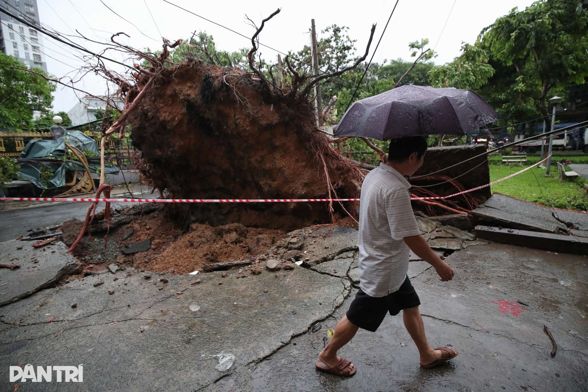 Mưa lớn giật đổ nhiều cây cổ thụ, cột điện, mái hiên ở TPHCM và Bình Dương - 1