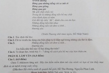Đề thi môn Văn lớp 10 chuyên ở Nghệ An: Cần tạo hứng thú cho học sinh bằng sự mới mẻ