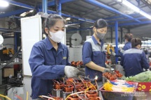 Lan tỏa việc học và làm theo Bác trong các doanh nghiệp