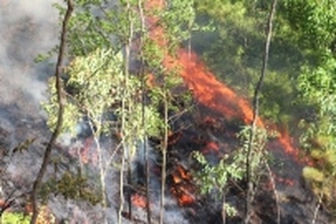  Cháy lớn gần Khu di tích Ngã Ba Đồng Lộc