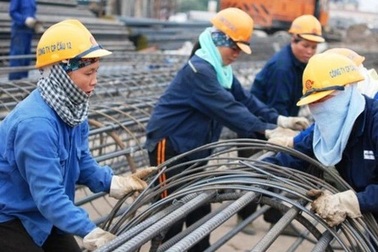 Xin cấp giấy phép lao động tại trụ sở hay chi nhánh?