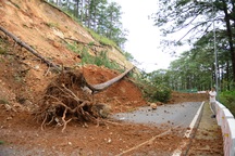 Đèo Mimosa ở Đà Lạt thông tuyến trở lại