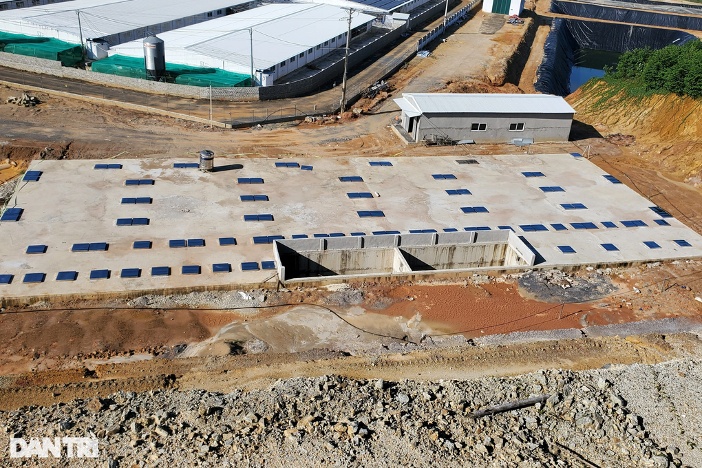 Xử phạt doanh nghiệp có trang trại lợn gây ô nhiễm - 3