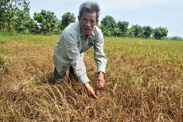 Bộ Tài nguyên và Môi trường hỗ trợ 13 tỉnh chịu hạn hán