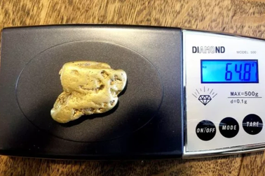 Thợ săn kho báu đào được cục vàng trị giá bạc tỷ