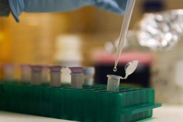 Đột phá sự sống nhân tạo sau khi các nhà khoa học tạo ra sinh vật sống mới