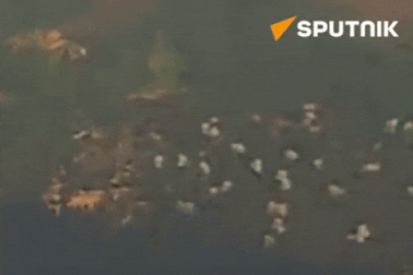 Vụ tấn công bằng Iskander của Nga khiến tư lệnh lục quân Ukraine từ chức