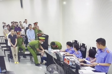 Giám đốc Sinh Thái Xanh ngã khụyu khi nghe mức án đề nghị