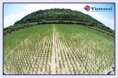 Kết quả tuần 11 cuộc thi “Thử tài hiểu biết Non sông đất Việt”