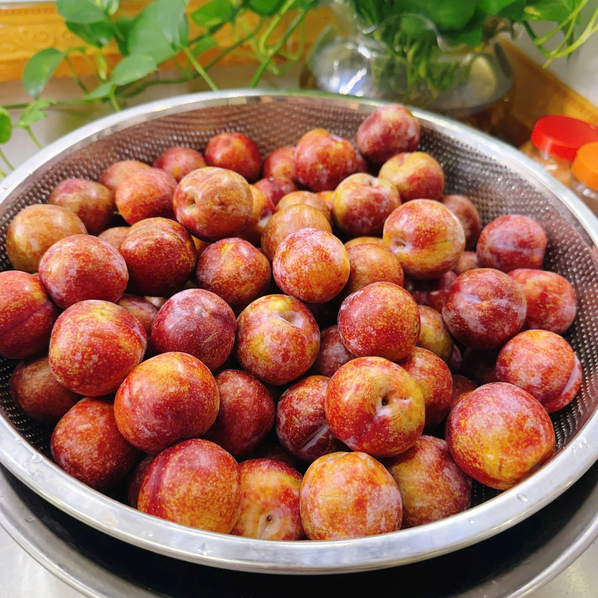 Mận ngon chỉ 8.000 đồng, mẹ đảm mách cách làm ô mai mận, siro mận đơn giản - 1 Mận ngon chỉ 8.000 đồng, mẹ đảm mách cách làm ô mai mận, siro mận đơn giản - 1