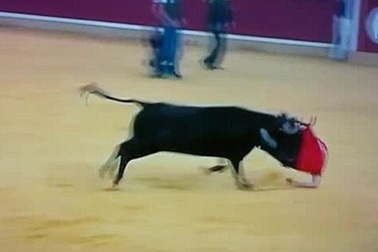 Chú bò nổi điên húc rách quần của khán giả quá khích