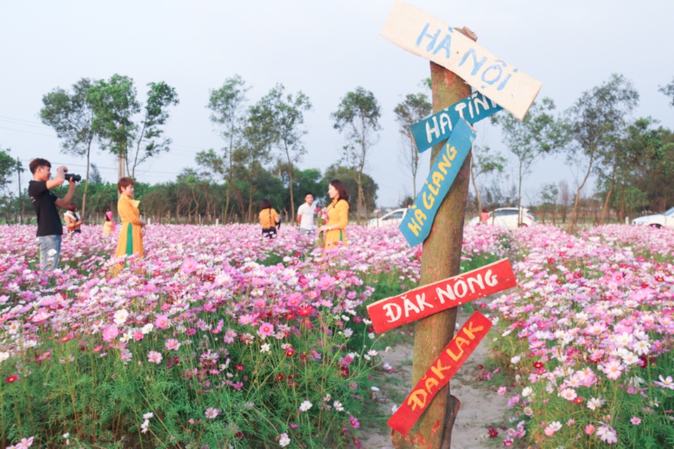 Trồng sao nhái thay dưa, chàng trai thu nhập hàng triệu đồng mỗi ngày - 11 Trồng sao nhái thay dưa, chàng trai thu nhập hàng triệu đồng mỗi ngày - 11