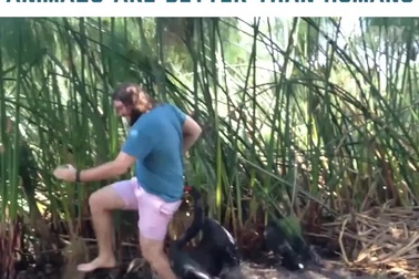 Chết cười với khoảnh khắc con người khốn đốn khi động vật bỗng trở nên “bẩn tính”!