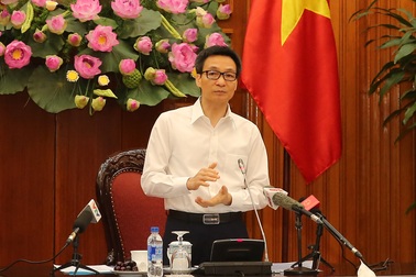 Phó Thủ tướng: Chưa triển khai quy hoạch bán đảo Sơn Trà trong 3 tháng tới