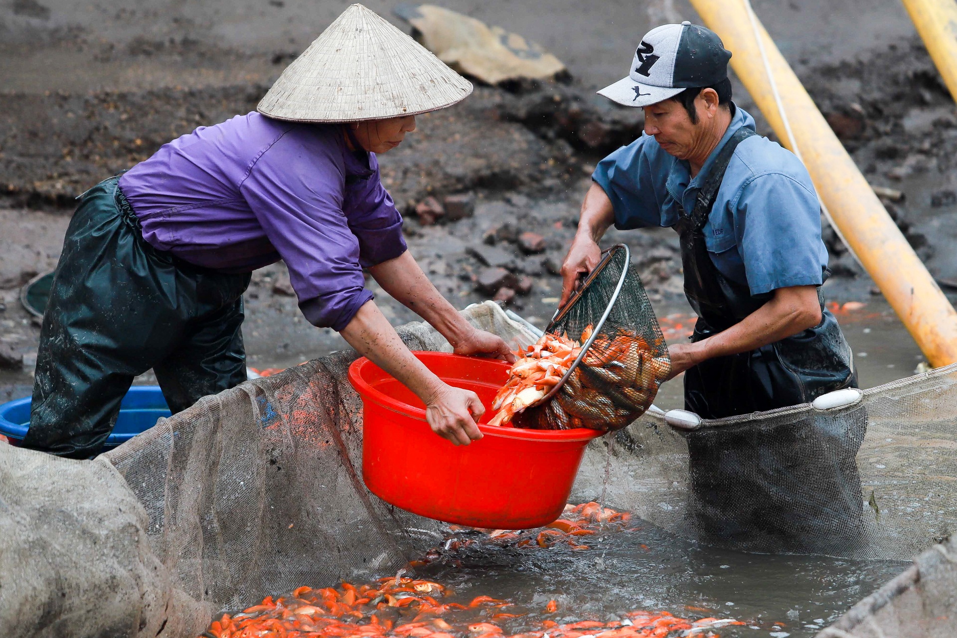 Làng nghề sản xuất phương tiện cho ông Công, ông Táo hối hả thu hoạch - 4