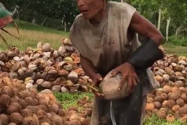 Cụ ông mù lòa vẫn lột vỏ dừa khô một cách tài tình khiến nhiều người thán phục