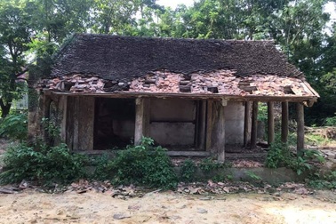 “Đi săn” nhà gỗ cho đại gia, rủng rỉnh đút túi cả trăm triệu mỗi tháng