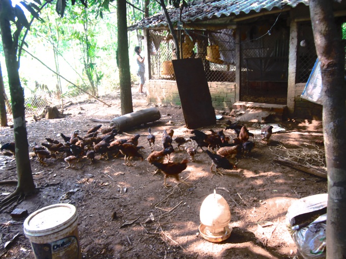 Quảng Nam: Thu nhập bình quân của hộ nghèo tăng khoảng 1,57 lần - Ảnh 1. Quảng Nam: Thu nhập bình quân của hộ nghèo tăng khoảng 1,57 lần - Ảnh 1.