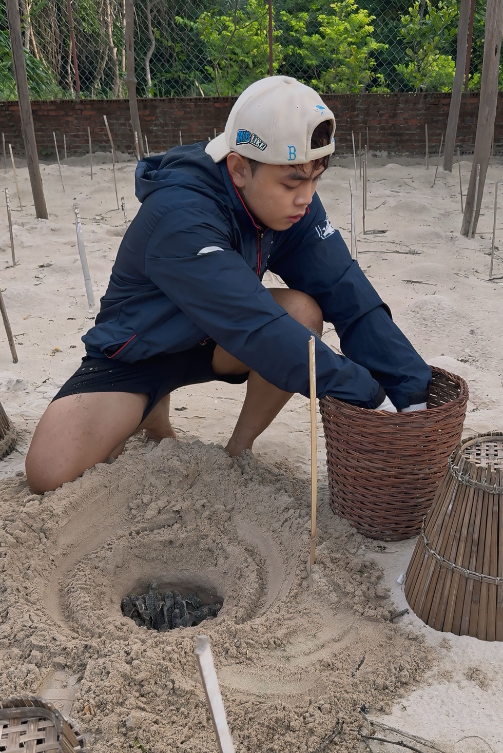 Chàng trai Tây Ninh và hành trình đỡ đẻ cho rùa mẹ giữa đêm ở Côn Đảo - 4 Chàng trai Tây Ninh và hành trình đỡ đẻ cho rùa mẹ giữa đêm ở Côn Đảo - 4