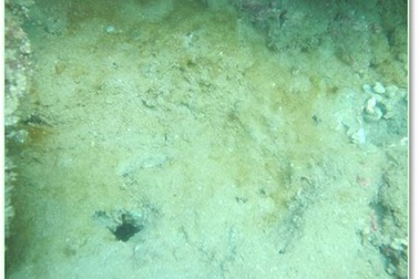 Vụ Formosa: Đang xác định hàm lượng độc tố còn tồn dư dưới đáy biển