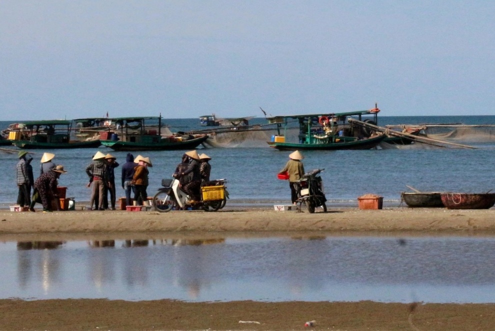 Ngư dân trúng mùa ruốc, thu tiền triệu mỗi ngày - 1 Ngư dân trúng mùa ruốc, thu tiền triệu mỗi ngày - 1