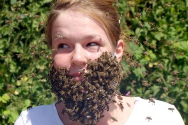 Cô gái đeo bộ “râu ong”