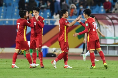 VFF tăng cường dinh dưỡng cho các đội tuyển quốc gia Việt Nam