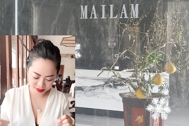 Nữ doanh nhân 'biến mất' và đường đi của 900 tỷ đồng