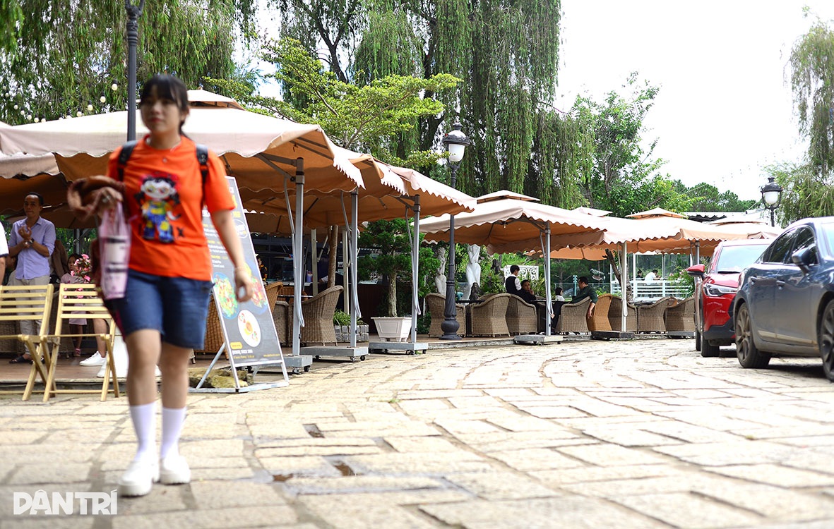 សរសើរកោះធុយតា ជិតដាក់ដេញថ្លៃនៅដាឡាត់ - ៥ Ngắm đảo Thủy Tạ sắp được đưa ra đấu giá ở Đà Lạt - 5