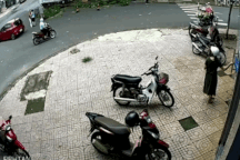 Nữ nhân viên môi trường bị tát vào mặt khi tỉa cây trên phố