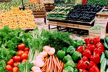 "Việt Nam nhập 100.000 tấn thuốc sâu thì nông sản sao cạnh tranh được"